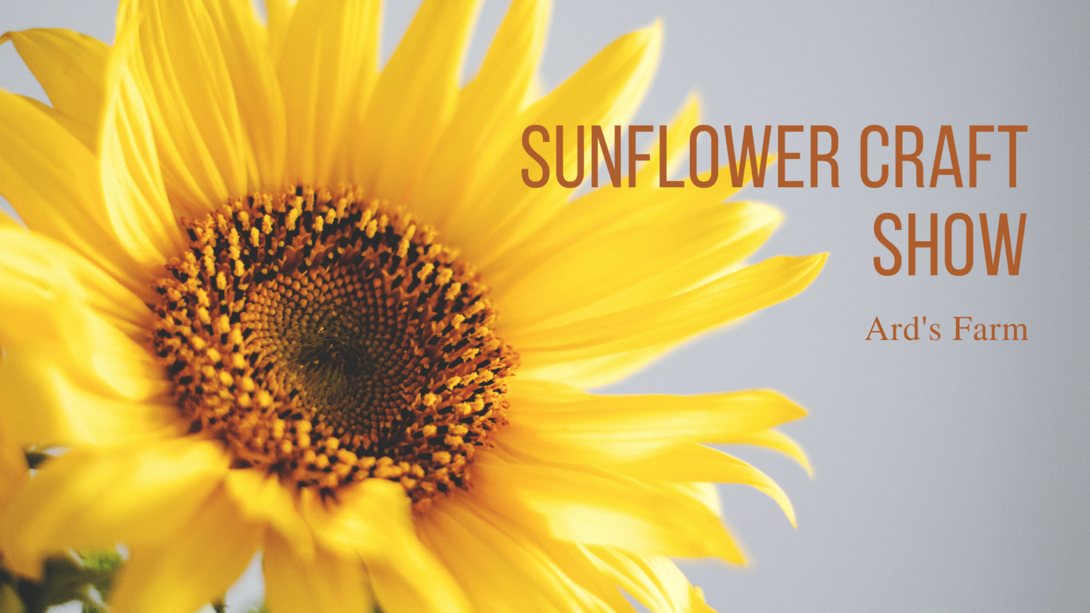 2022 Lewisburg Sunflower Craft Show